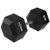 Hex Pro 2 - 60 KG Hantle HMS