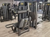 Máquina para a zona lombar TECHNOGYM SELECTION PRO usada/recondicionada - perfeito estado