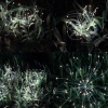 Solar hagelampe - løvetann Gardlov 23561