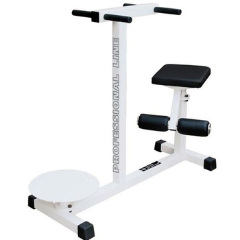 Twister ST317 – Appareil d'exercice professionnel pour les muscles de la taille et du tronc