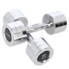 Chrome Dumbbells (2 pcs.) HMS