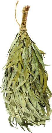 Rento Eucalyptus Sauna Garde