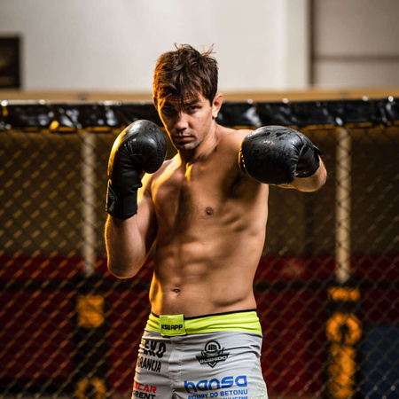 DBX BUSHIDO "Black Dragon" B-2v18 8oz sparring boxningshandskar