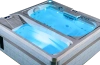 Luxurious Swim Spa – 3-person, dual-zone hot tub with cold water, perfect for relaxation and therapy