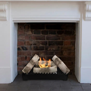 Indsats til biopejs FENIKS