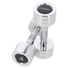 Chrome Dumbbells (2 pcs.) HMS