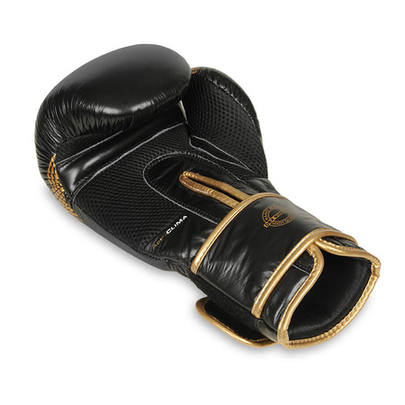 Gants de boxe en cuir naturel B-2v13