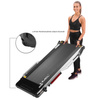 LOOP15 Electric Treadmill for Nordic Walking HMS