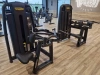 TECHNOGYM SELECTION PRO Stroj na ramená a chrbát (Low Row) Používaný/Repasovaný - Perfektný stav
