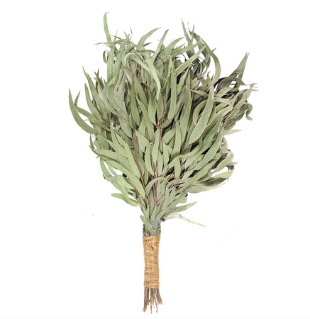 Fouet de sauna à l'eucalyptus Rento