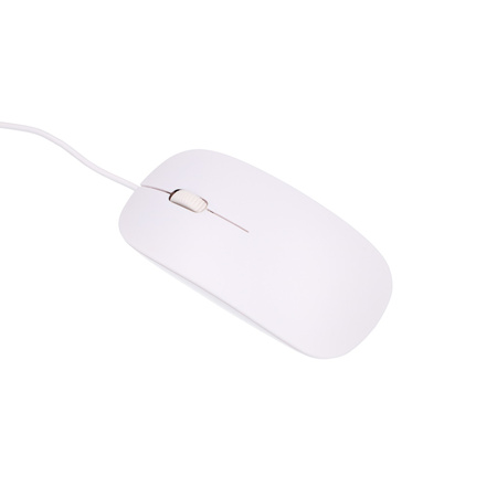 Extralink 24" alt-i-ett-PC Business | Datasett | Intel i7-11370H, 16 GB DDR4, 512 GB SSD, tastatur, mus, kamera