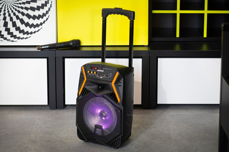 Luidsprekersysteem met bluetooth en karaokefunctie - PRIME3 Luidspreker APS22