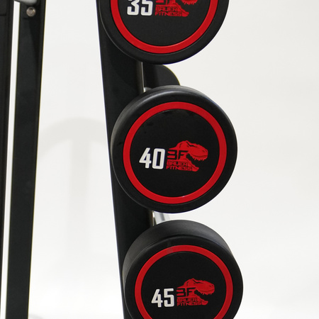 Barbell Bar avec une charge de 10-55 kg