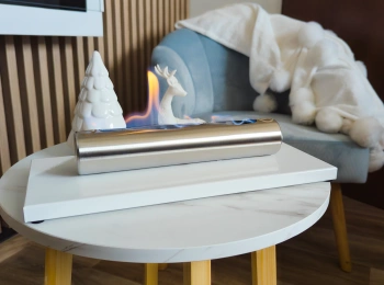 Vabalt seisev biokamin Stainless white gloss - kaasaegne ja elegantne kamin koju