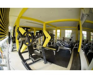 Vertikale Brustpresse (Plate Loaded) | Professionell V1