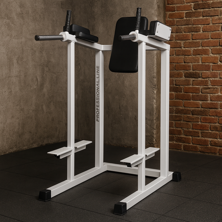 ST312.1 Стационарен лост за повдигане на краката | Оборудване за трениране на коремните мускули