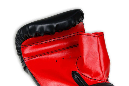BUSHIDO INSTRUMENTELE TRAININGSHANDSCHOENEN OP EEN ZAK