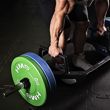 Olympische Bumper Plate 5 - 25 KG