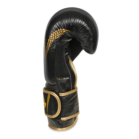 Gants de boxe en cuir naturel B-2v13