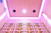 MO-RL4ST Sauna infravermelha com pedra de sal + turmalinas