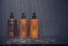 Après-shampoing Rento Myrtille 400 ml