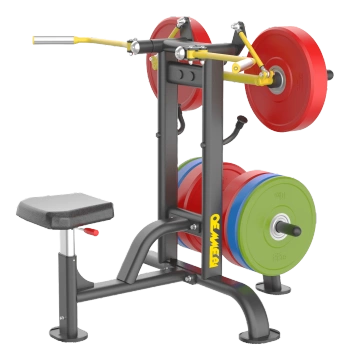 SHOULDER LATERAL RAISE-maskin