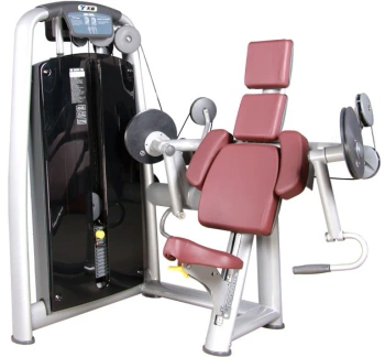 Bicepsový stroj (s kolíky)