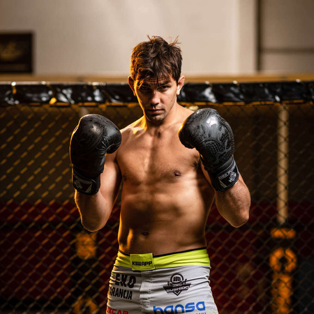 DBX BUSHIDO 'Black Dragon' sparinga boksa cimdi B-2v18 8oz