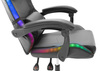 Grizzly RGB Gaming Chair - Sort