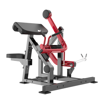 axelmuskelövningsmaskin - biceps v05bf