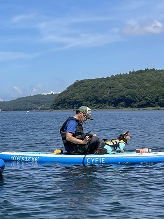 Soldina liukueste Sup 320 x 84 x 15 cm CYFIE PREMIUM Vihreä