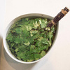 Rento Eucalyptus badstuevisp