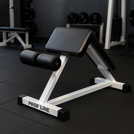 ST310 Коремна пейка | Професионална пейка за ABS тренировки