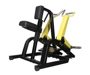 Machine à Ramer pour le renforcement des muscles du dos (avec système de chargement de poids) | Version Professionnelle V1