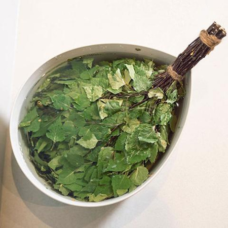 Rento sauna Eucalyptus wittles saunassa