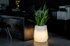 Witte flavi tuinpot met verlichting
