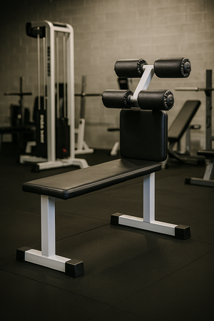 ST315 Римський стілець для тренування преса і спини - тренажери для спортзалу і дому