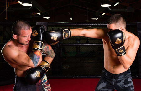Gants de boxe en cuir naturel B-2v13