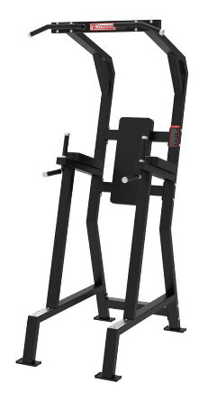 Machine professionnelle à soulever les genoux GC-5019-2 - Équipement de gymnastique pour le renforcement des muscles abdominaux et du tronc