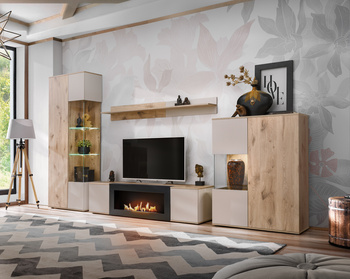 Bioethanol Fireplace in Furniture Setup – Modern Fireplace Cabinet - CATALINA DVC CT-K