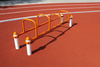 S834.7 Mini-Barren | Outdoor Training & Calisthenics