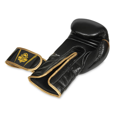 Gants de boxe en cuir naturel B-2v13