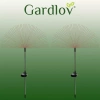 Solar hagelampe - løvetann Gardlov 23561
