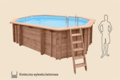 Lazurito medinis baseinas