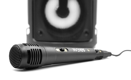 SQUEAK Harmony SQ1004 Bluetooth 5.0 EDR skaļrunis ar karaoke - 40 W, USB, microSD, uzlādējams, LED diode