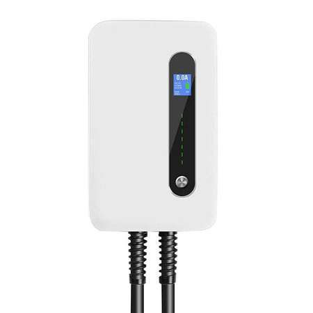 Sieninis elektromobilių įkroviklis Besen F30