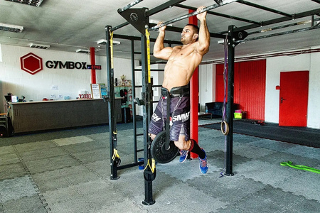 KULTŪRISMS SVARA JOSTA - DIP JOSTA BUSHIDO