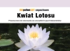 Αρωματικό βιοκαύσιμο 1L Lotus Flower - αρωματικό καύσιμο για βιο-τζάκια