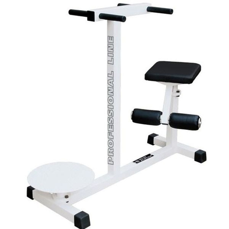 Twister ST317 – Appareil d'exercice professionnel pour les muscles de la taille et du tronc