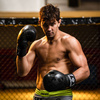 DBX BUSHIDO "Black Dragon" B-2v18 8oz sparring boxningshandskar